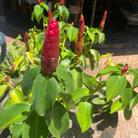Hotel Chateau St Cloud La Digue Eksteriør bilde