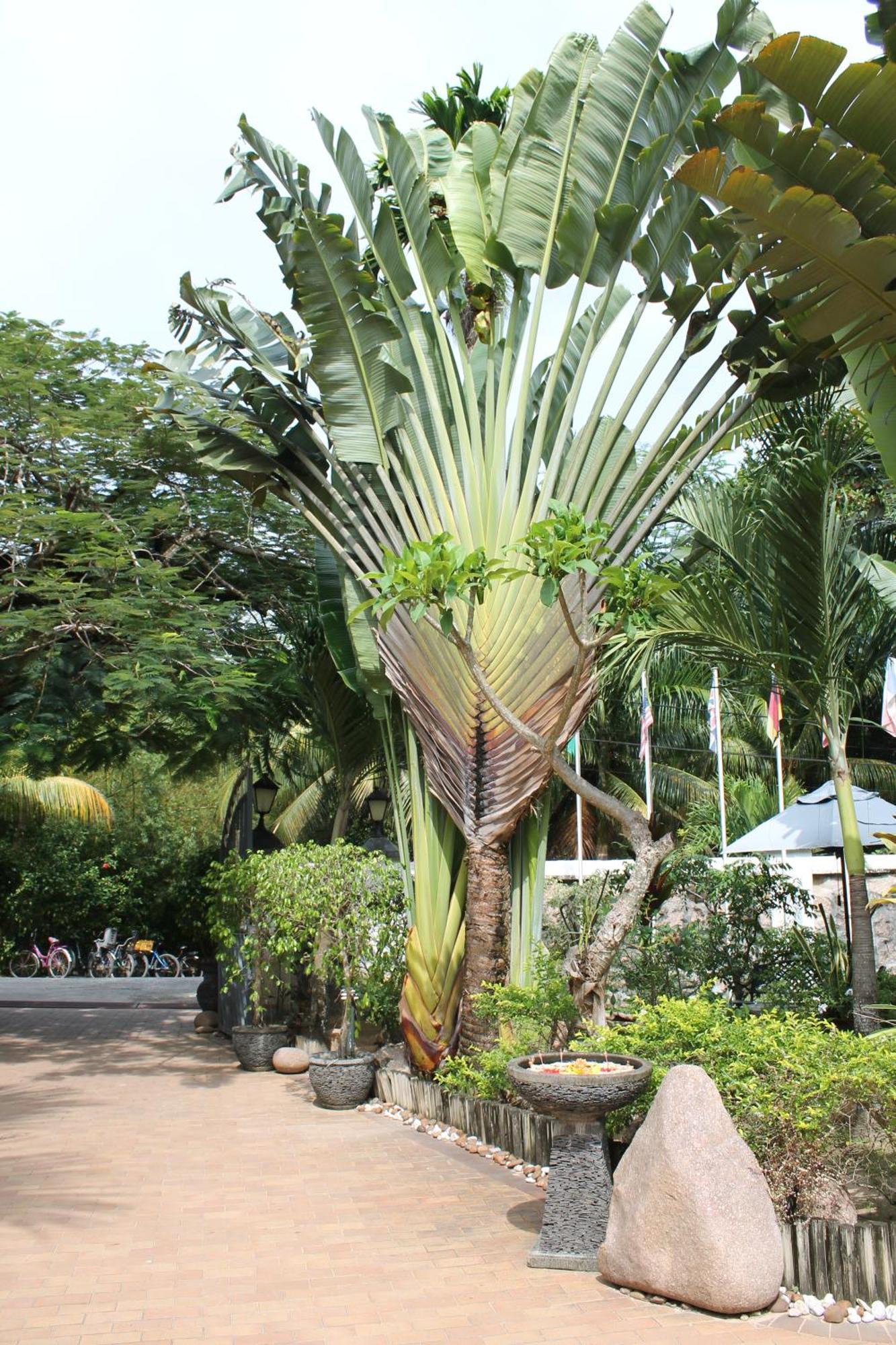 Hotel Chateau St Cloud La Digue Eksteriør bilde